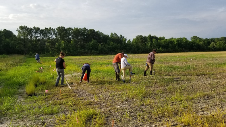 People in a field collecting data