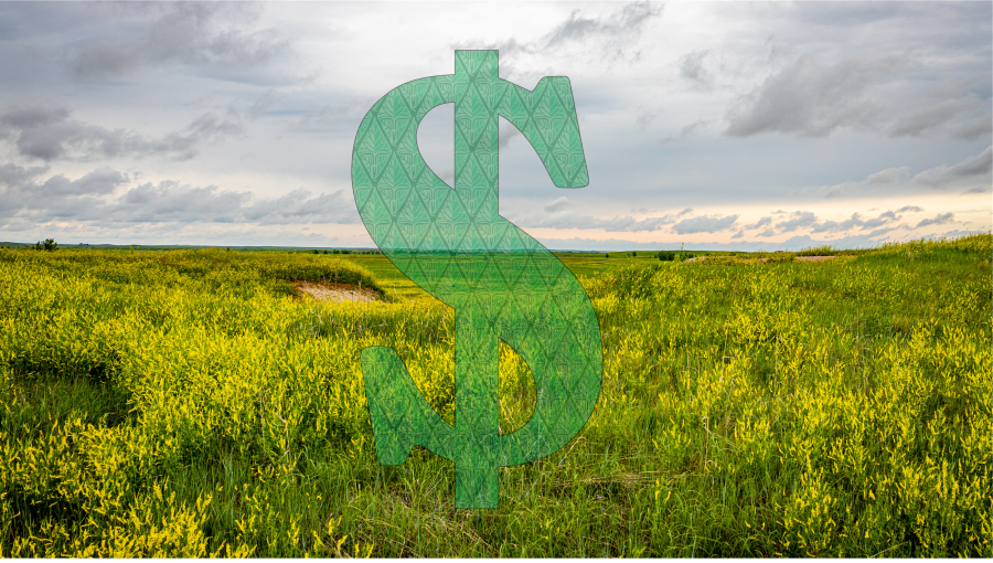 An image of a dollar sign imposed over a photograph of a field indicating the value we place on nature