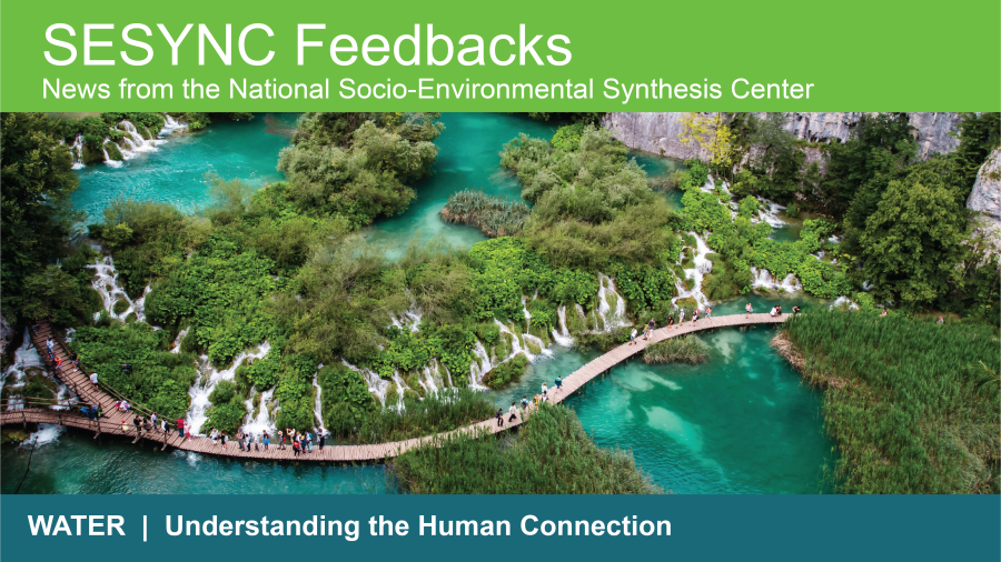 The top header of the SESYNC June Newsletter 