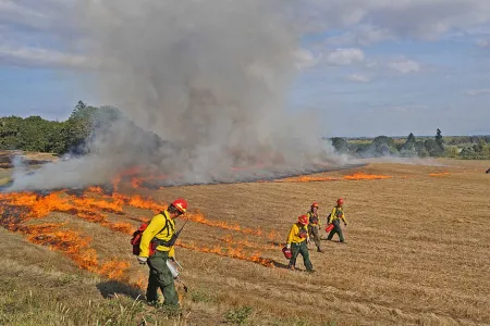 controlled burn